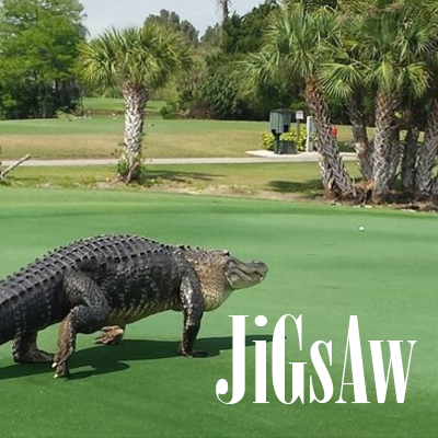 works-category-plays-jigsaw